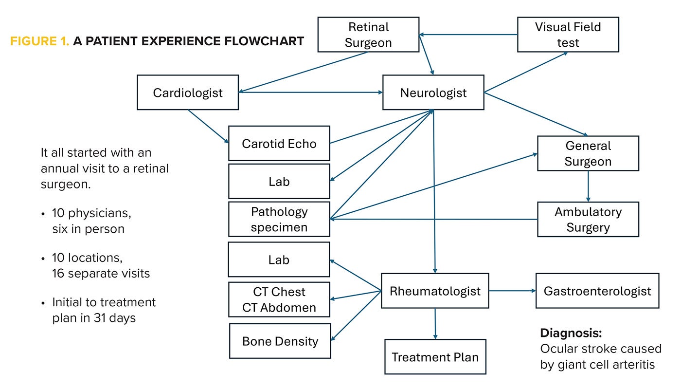 Figure 1 - A patient experience flowchart